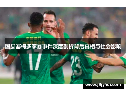 国脚塞梅多家暴事件深度剖析背后真相与社会影响