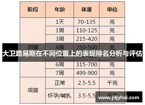 大卫路易斯在不同位置上的表现排名分析与评估 大卫路易斯在不同位置上的表现排名分析与评估